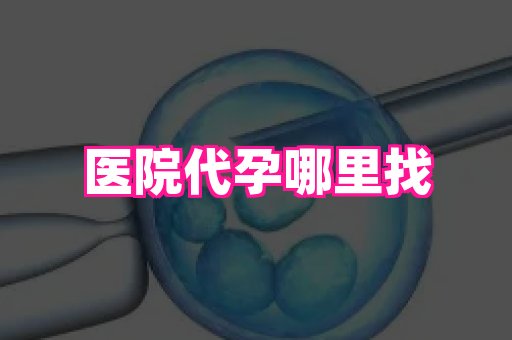 国际助孕网站 4